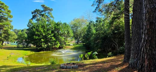 Brierwood Estates photo 54