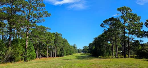 Brierwood Estates photo 56