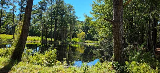 Brierwood Estates photo 80