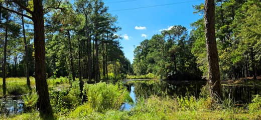 Brierwood Estates photo 82
