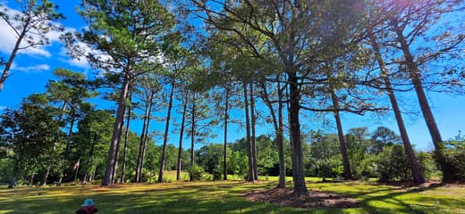 Brierwood Estates photo 85