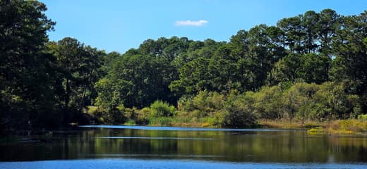 Brierwood Estates photo 98
