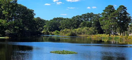 Brierwood Estates photo 99