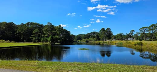 Brierwood Estates photo 100