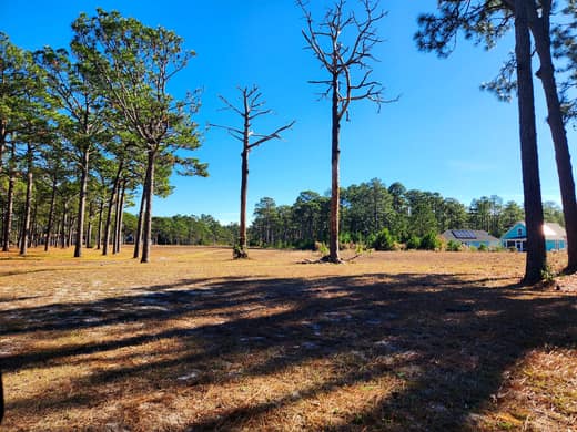 Brierwood Estates photo 105