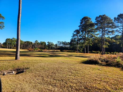 Brierwood Estates photo 109