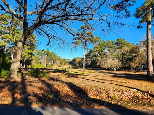 Brierwood Estates photo 113