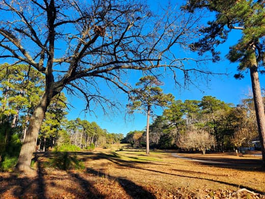 Brierwood Estates photo 114