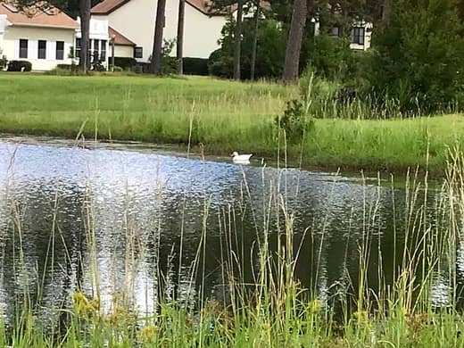 Brierwood Estates photo 120